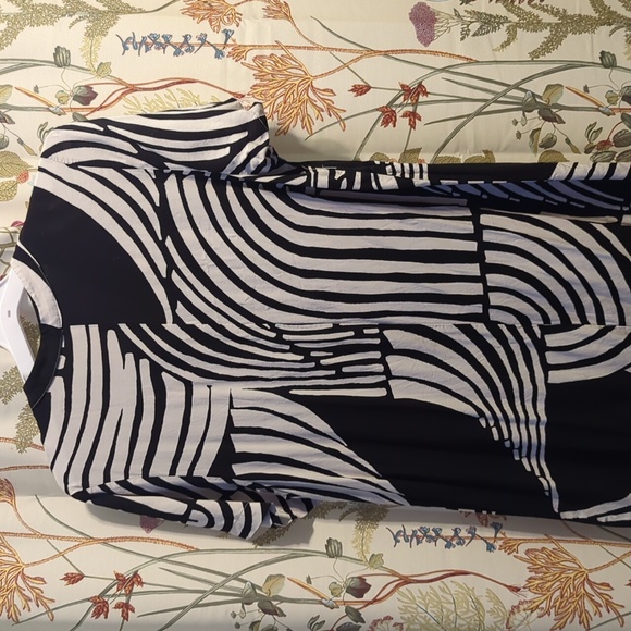 H&M Tan & Black Notch Neck Rayon Shift Dress - Picture 5 of 5